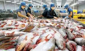 Food License (FSSAI) Registration for Fish Exporters