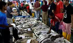 Food License (FSSAI) Registration for Fish Retailers